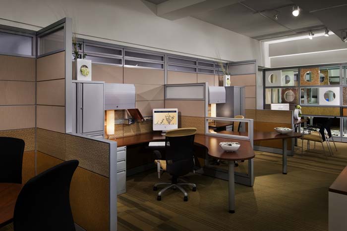 Evolve workstation